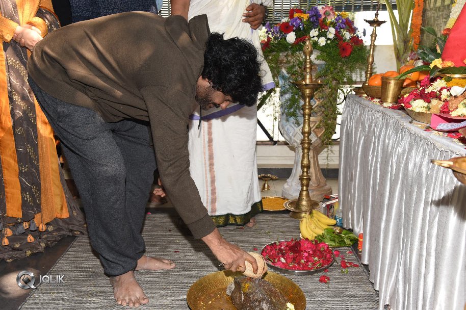 Ismart-shankar-Movie-Launch-Photos